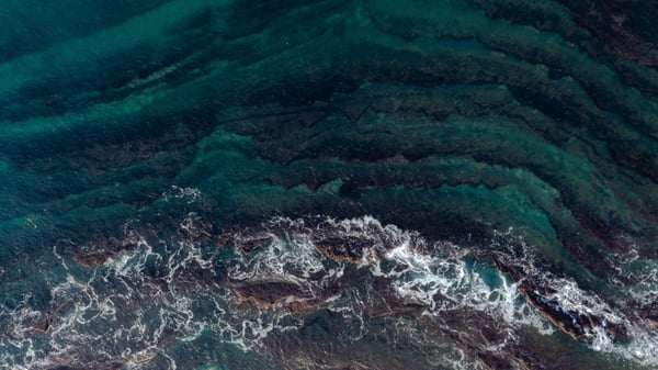 Corporate Christmas Gifts: A contribution for a cleaner ocean