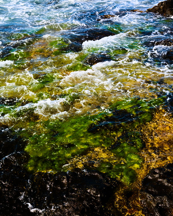 A quattr’occhi con the Plastic Fisherman
