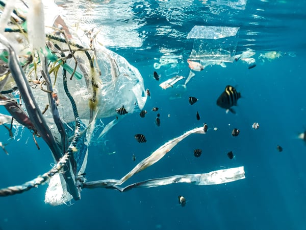 Plastic Free July