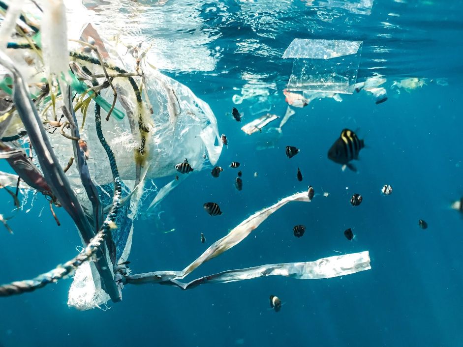 Comunica la mission sostenibile dell'azienda con una campagna di rifiuti in mare